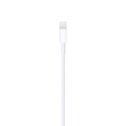 Lightning to USB Cable (1 m)